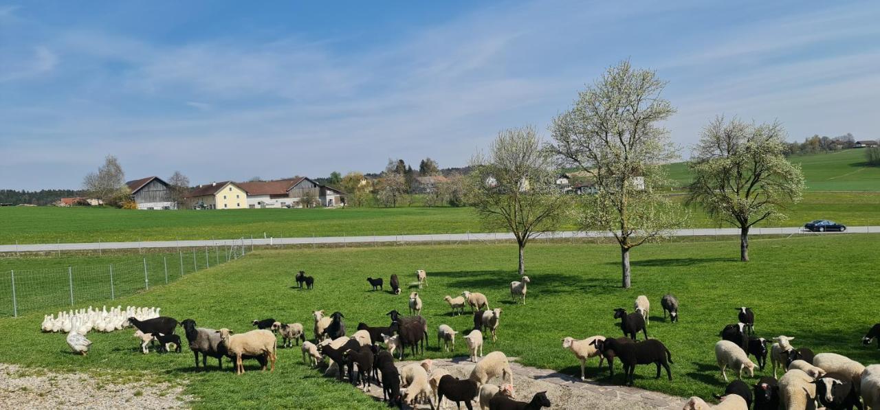 Landgasthof Entenwirt Tarsdorf Dış mekan fotoğraf