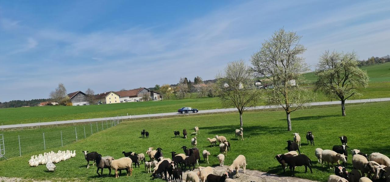 Landgasthof Entenwirt Tarsdorf Dış mekan fotoğraf