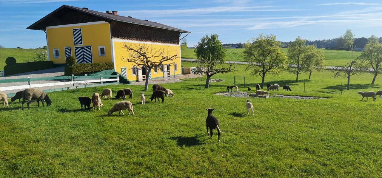 Landgasthof Entenwirt Tarsdorf Dış mekan fotoğraf