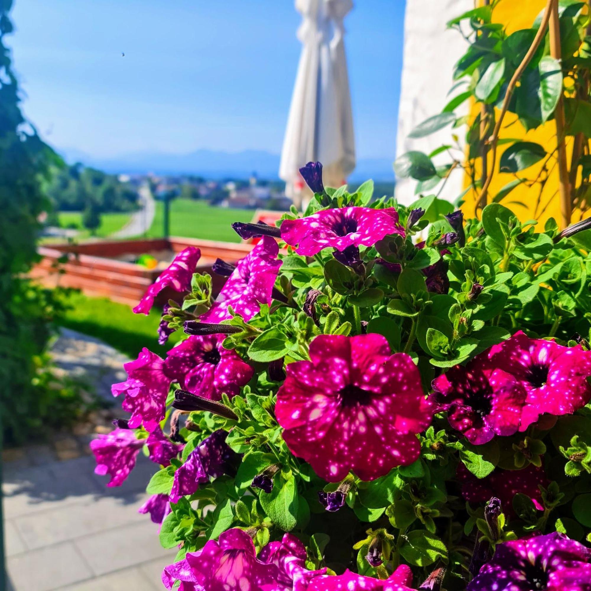 Landgasthof Entenwirt Tarsdorf Dış mekan fotoğraf