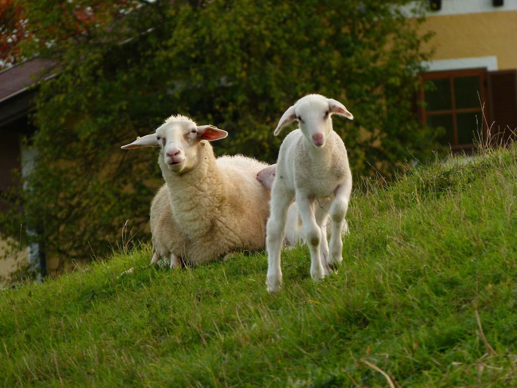 Landgasthof Entenwirt Tarsdorf Dış mekan fotoğraf