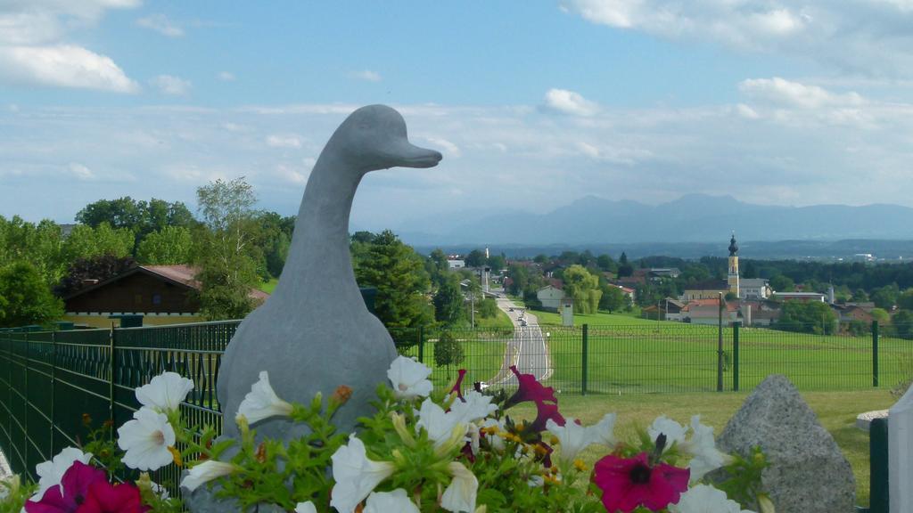 Landgasthof Entenwirt Tarsdorf Dış mekan fotoğraf